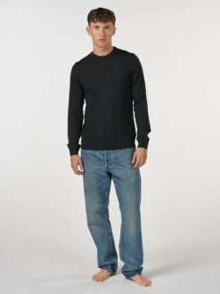 Crew neck i merinould til mænd
