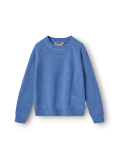 Sweatshirt i merinouldfrotté til børn